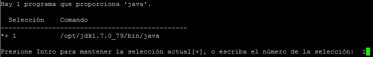 java-alternatives java-alternatives